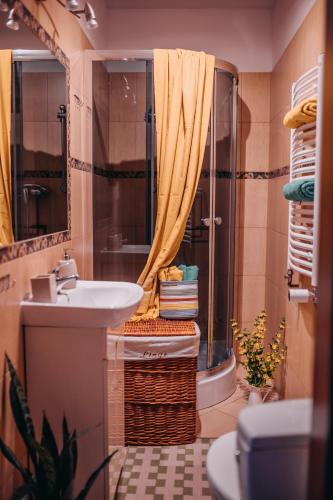 a bathroom with a sink and a shower at Sowie Klimaty in Ludwikowice Kłodzkie