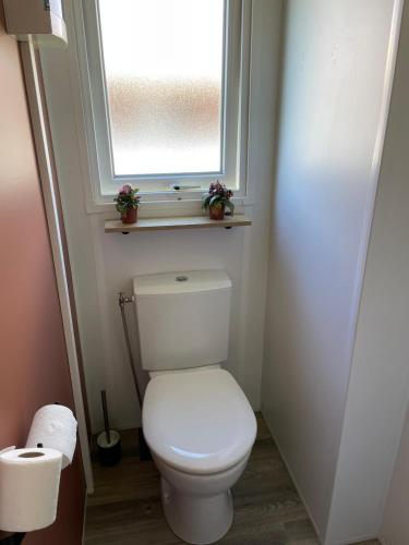 Un baño de Mobilhome-vue lac-4 étoiles -Lac des Rêves