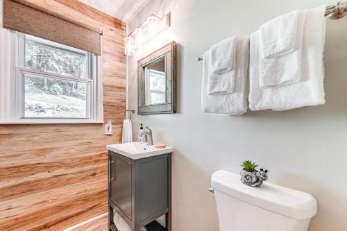 a bathroom with a toilet and a sink and a mirror at 6 Mi to Waterrock Knob Serenity Cottage in Maggie Valley