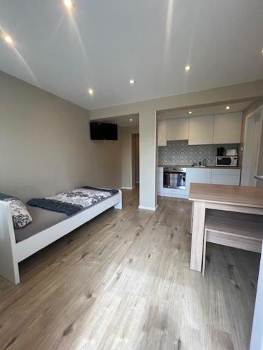 a large room with a bed and a table in it at Serena Monteur Apartment in Rodenbach