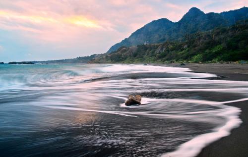 a dog laying in the water on a beach at 幸福有約民宿 in Hsing-ch'ang