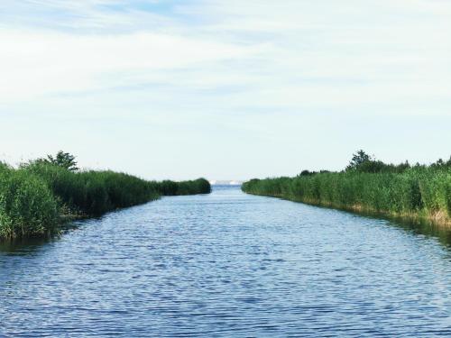 a river with trees on the sides of it at Svenceles 25 sodyba Namas su pirtimi ir krantine in Svenele