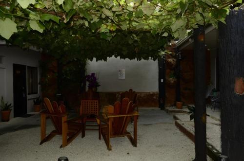 a group of chairs and a table under a tree at Hotel La Vid La Fortuna in Fortuna