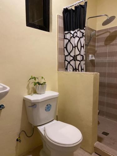 a bathroom with a toilet with a potted plant on it at ChemRald Guesthouse in Santander