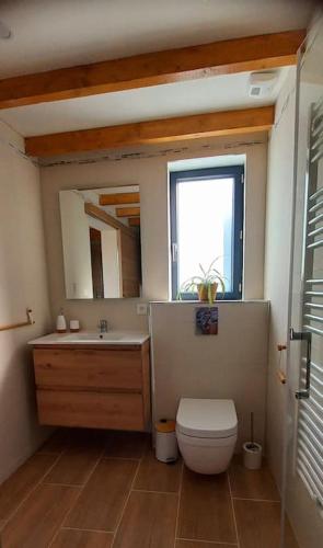 une salle de bain avec toilettes, lavabo et fenêtre dans l'établissement La Cabane de Shakespeare mini-maison à Haguenau, à Haguenau