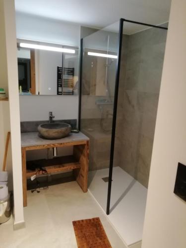 une salle de bain avec un lavabo et une douche dans l'établissement La montagne tranquille, à Praz de Lys - Sommand