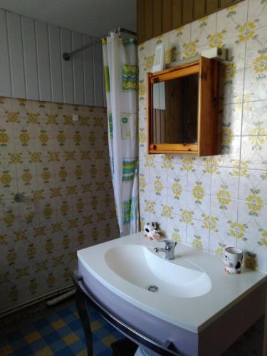 une salle de bain avec un lavabo et un miroir dans l'établissement maison atypique entre baie de somme et mers les bains, à Dargnies
