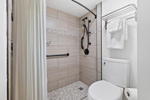 Cozy bright studio across Hilton and Waikiki Beach_3