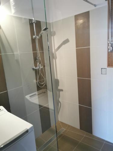 a glass shower in a bathroom with a toilet at Villa Negra 1 in Balatonfenyves