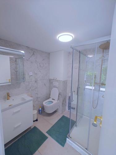 une salle de bain avec une douche, des toilettes et un lavabo dans l'établissement Appartement Paris-Disneyland-Parc Astérix 20-25 min, à Gagny