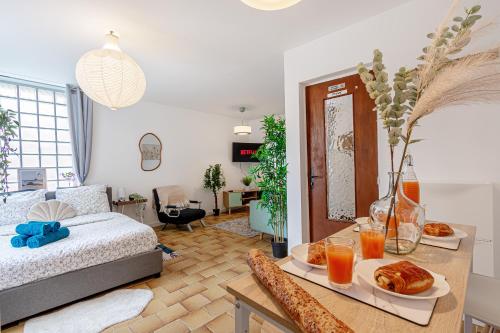 Grand studio 34m2, Paris Disneyland, Aéroport CDG, Parc Asterix, Gare de Chelles Gournay