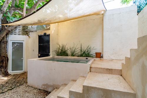 a house with a plunge pool in a yard at Casa Jicama in Cancún