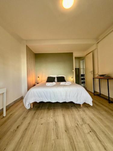 Loft avec parking centre Tours et bord du Cher Loire Valley