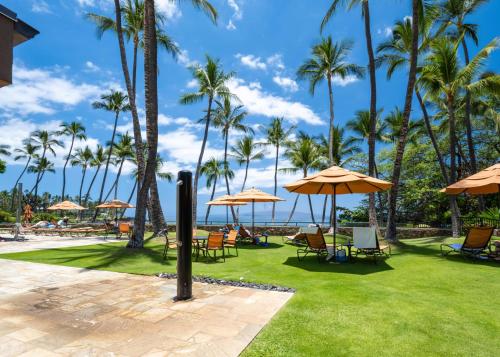 a lawn with chairs and umbrellas and palm trees at Elua 2011 in Wailea