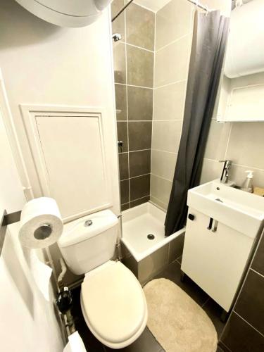 une salle de bain avec toilettes, lavabo et douche dans l'établissement Résidence Kandahar - Agréable studette au centre de la station MAE-5461, à Vénosc