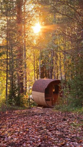a wooden house in the middle of a forest at Sky Lodging ~ sleeping under the stars in Rovaniemi