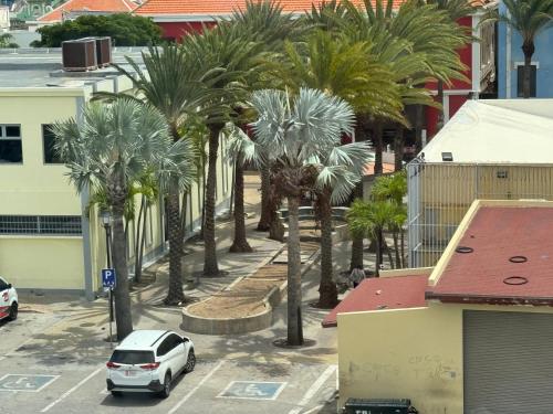 a car parked in a parking lot with palm trees at Central Boutique Hotel in Oranjestad