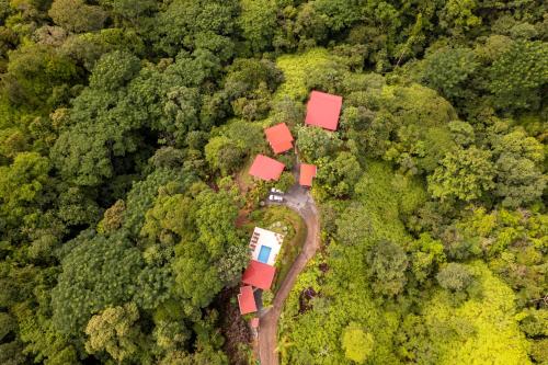 an aerial view of a house in the forest at Nature's Edge Boutique Hotel in Uvita