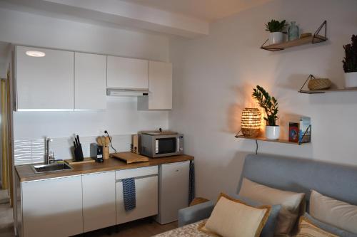 - une cuisine avec un comptoir et un four micro-ondes dans la chambre dans l'établissement Studio Elégance Naturelle proche gare, à Voiron