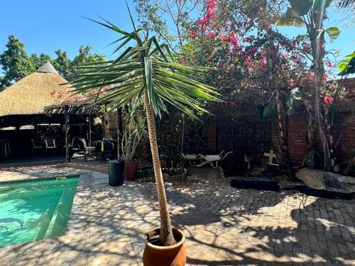 Gallery image of Ethithiya Oasis Guesthouse and Self-Catering in Windhoek