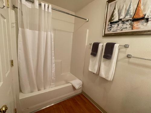 e bagno con doccia e tenda bianca. di Zion Cottage Glendale a Glendale