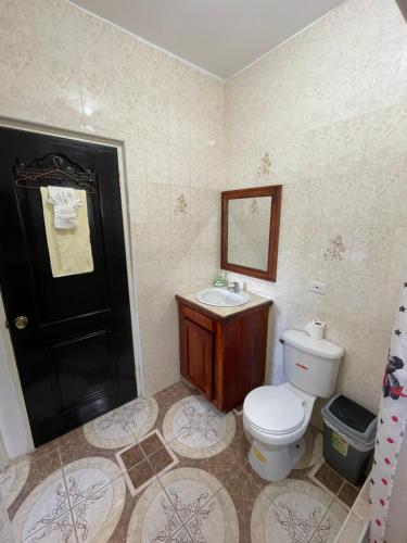 a bathroom with a toilet and a sink and a mirror at Veronica Villa 68 in Lucea