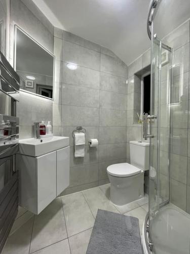 a bathroom with a toilet and a sink and a shower at NEW Modern 5 Bedroom House - City Centre - Parking in Cardiff
