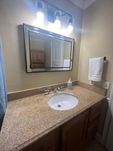 a bathroom with a sink and a mirror at 2BR private Duplex, quiet, central,remodeled in Dalton