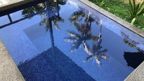 a reflection of a palm tree in a swimming pool at Casa Luminosa jungle villa in Cocles