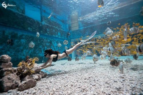 a woman swimming in an aquarium with fish at Beluga Sanya Discovery Ocean World in Shangsimacun