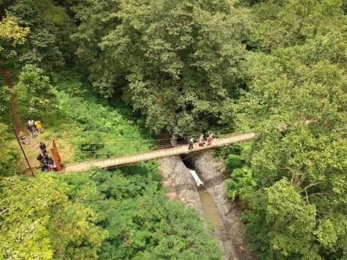 a group of people on a bridge in a forest at Hotel O P3 Guest House in Bandung