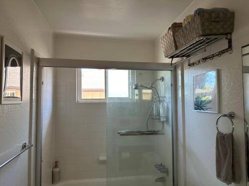 Castro CityにあるCozy apartment in the heart of Mountain Viewの浴室のガラス扉付きシャワー