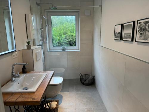 a bathroom with a toilet and a sink and a window at Hafenglück Friedrichskoog in Friedrichskoog