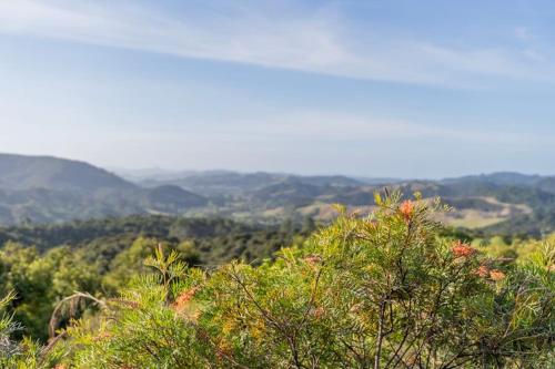 a view of a hill with trees and mountains at Ridge Valley View in Whenuakite