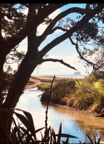 a river with a tree and the ocean in the background at Ridge Valley View in Whenuakite