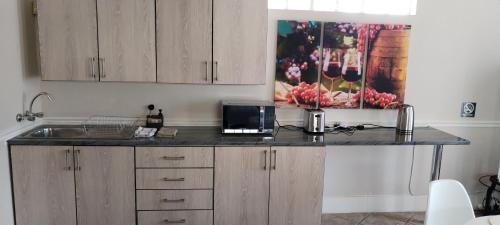 Dapur atau dapur kecil di Pearlman Loft