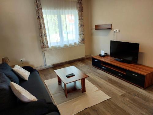 TV a/nebo společenská místnost v ubytování Orgona Apartman- és Nyaralóház