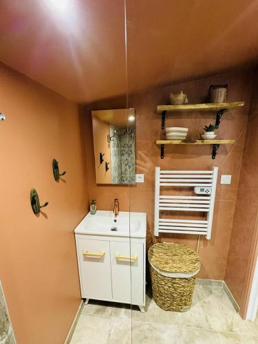 une salle de bain avec un lavabo et un miroir dans l'établissement Studio Ty Cool, jardin 200m carré, 50m plage, wifi, parking, à Penthièvre