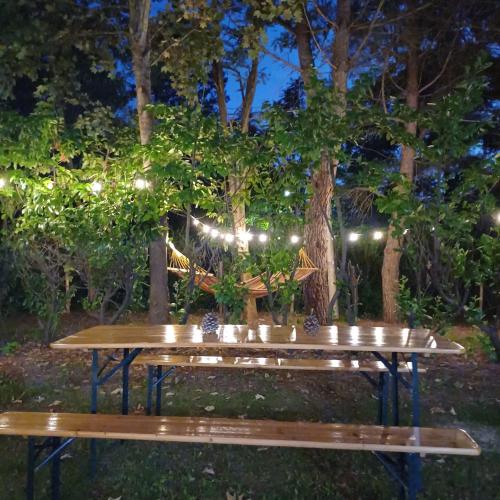 a picnic table in a park at night with lights at Casale Trifoglio in Morano Calabro