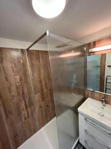 une salle de bain avec douche et lavabo dans l'établissement Grand appartement piscine, à Besse-et-Saint-Anastaise
