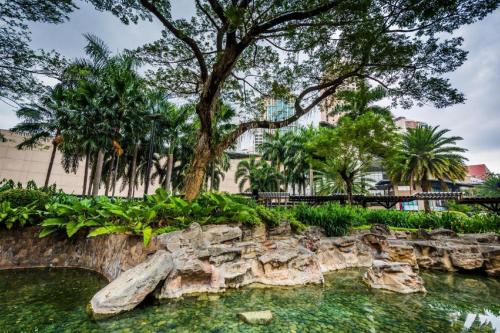 a park with a tree and a pool of water at Lancaster Hotel Manila in Manila