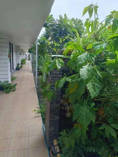 un bâtiment avec des plantes sur son côté dans l'établissement Pool Villa @Donmueang, à Bangkok