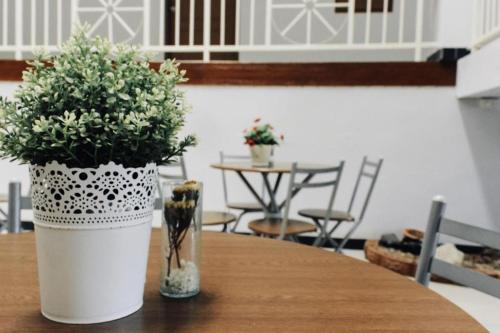 a potted plant sitting on top of a table at Urban House 195 in Chiang Mai
