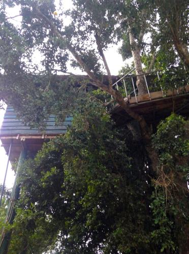 Imagen de la galería de Single Trees Yala, en Palatupana