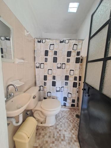 a bathroom with a toilet and a sink and a shower at Hotel Las Palomitas in Taxco de Alarcón