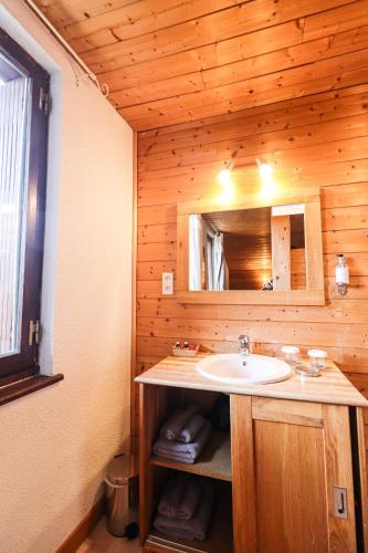 a bathroom with a sink and a mirror at Domaine de l'Adoux in Saint-Jean Montclar