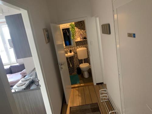 Kuchyň nebo kuchyňský kout v ubytování Apartmani Lučin