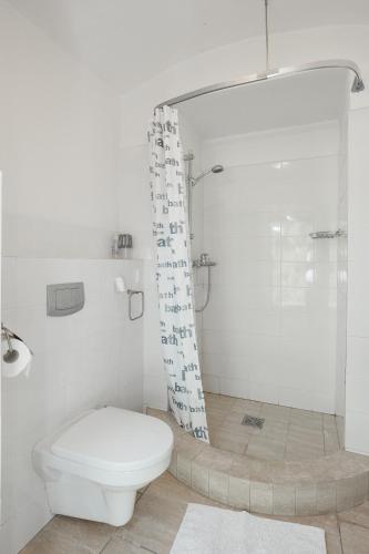 a white bathroom with a toilet and a shower at Zamość Dwór Udrycze in Udrycze