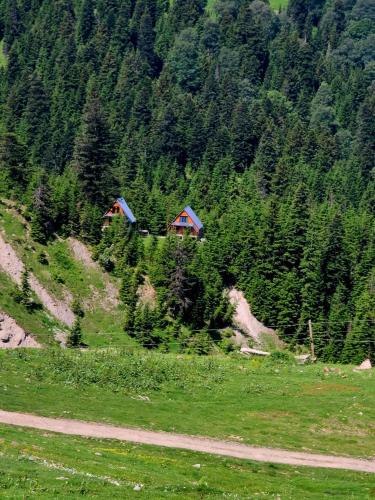 two houses on the side of a mountain at არწივის ბუდე eagle's nest in Goderdzi