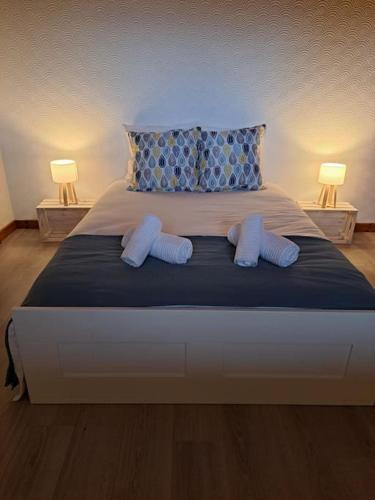 une chambre avec un grand lit avec deux lampes dans l'établissement Maison La Roche du Miroir, à Plaimbois-du Miroir